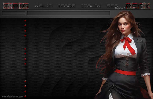 Bayan Radyo Tema 393 2 liebefee13