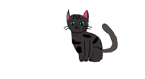 2024 03 11 0fg Kleki