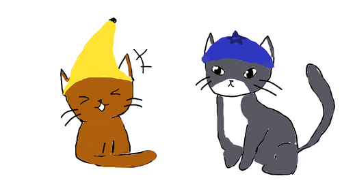 2024 03 25 0tx Kleki