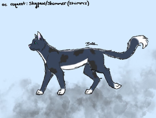 skypawblogclanrequest