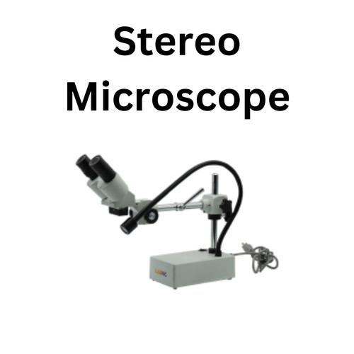 Stereo Microscope.jpg