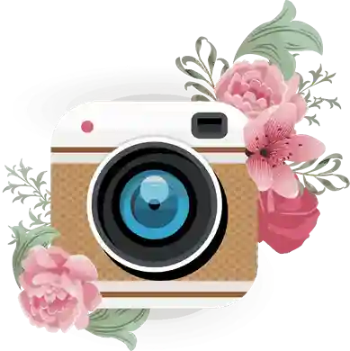 Buy Instagram Followers Media Wizards org.webp