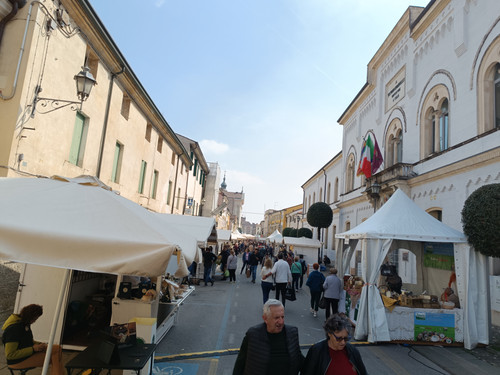 IMG 20240406 111125.jpg