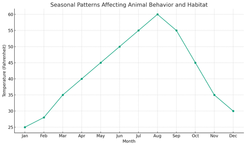 visualization image 1.png