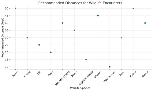 visualization image 2.png