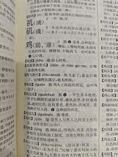 IMG 20240406 185555.jpg