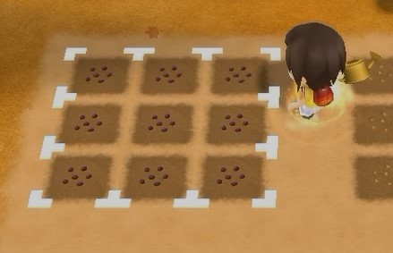 Story of Seasons Friends of Mineral Town Alles ber Gem se 6afce7b0cc37fd8c15be2470e2833711 rcm1200x0.jpg