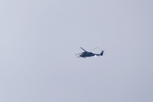 TZ95P1001802.jpg