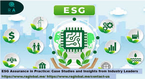 ESG Assurance in Practice Case Studies and Insights from Industry Leaders.jpg