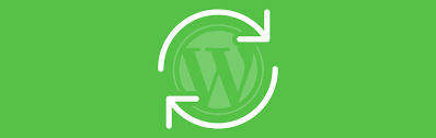Wordpress Website Company.png