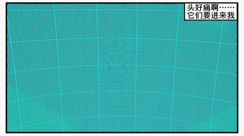 00000088.jpg