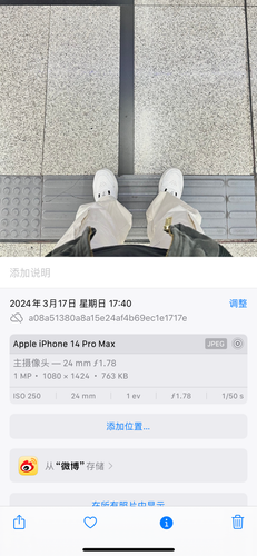 IMG 1635.png