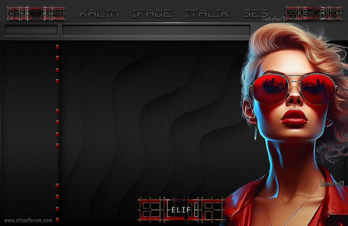 Bayan Radyo Tema 393 1 ELIF