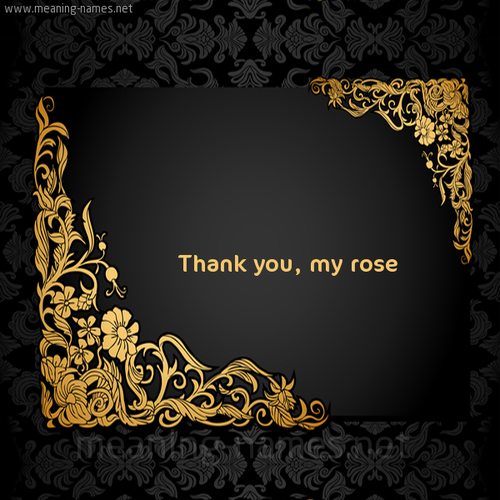 7 Thank you, my rose 
