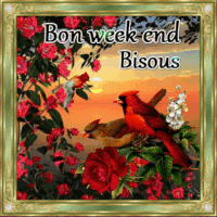 weekend (1).gif
