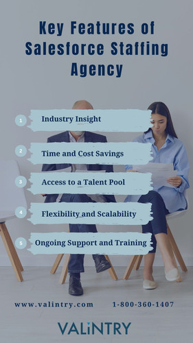 Key Features of Salesforce Staffing Agency.jpg