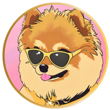 13.png