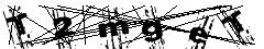 test.jpg