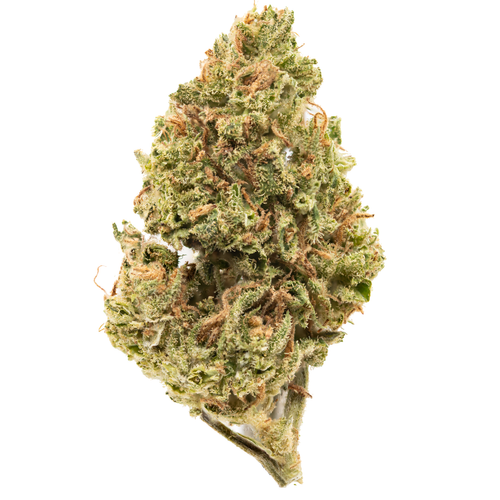 Gelato 45 Inspiration.png