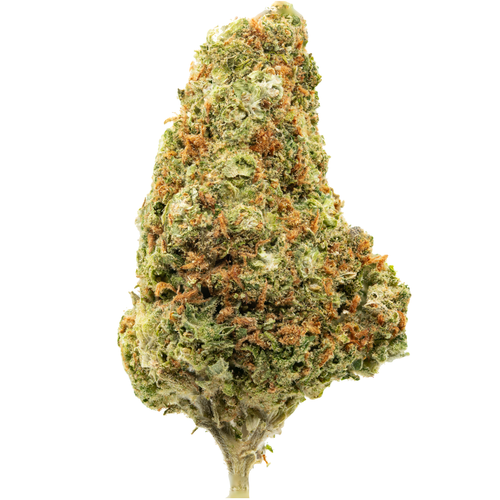 Mimosa EVO.png