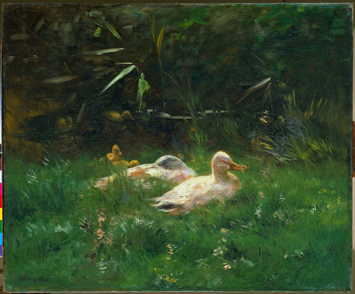 Maris, Willem Утки, 1904, 93 cm х 113 cm, Холст, масло