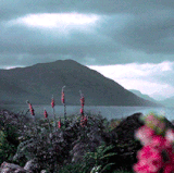 hogwarts.gif