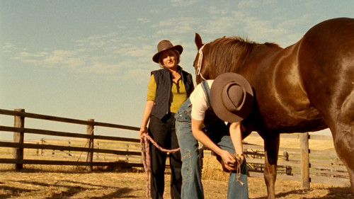 McLeods.Daughters.S03E07.Gone.To.The.Dogs.1080p.STAN.WEB DL.AAC2.0.H.264 BTW.mkv 20240407 105511.973.jpg