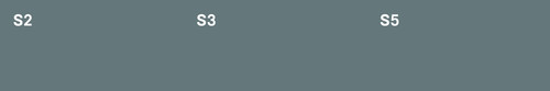 Flyer 210x105 6s W Back.jpg