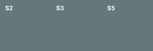 Flyer DINQ 6s W Back.jpg