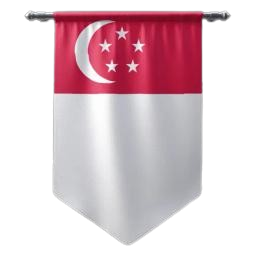 sg removebg preview.png