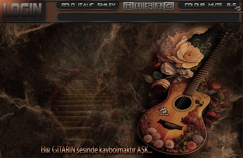 Lady Nur Gitarın sesi.jpg