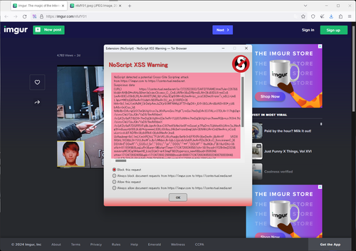 imgurのXSS【英語】 2024 04 07 155220.png
