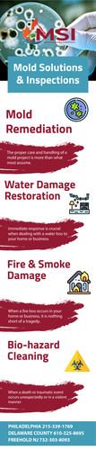 Water Damage And Mold Solutions & Inspections.jpg