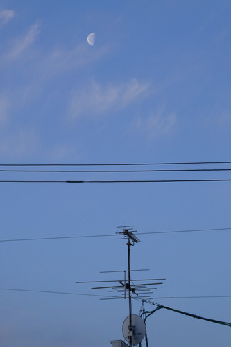 TZ95P1001817.jpg