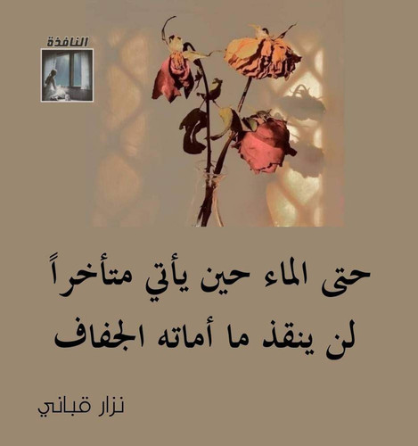 FB IMG 1712435360961.jpg