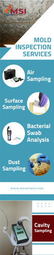 Professional Mold Inspection Services.jpg