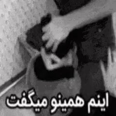 file 415.jpg
