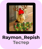 tester obichn rayr.png