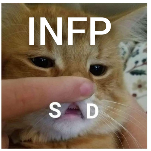 dsfsddsffds.jpg