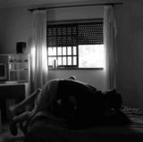 tumblr mibuiq6e7V1rfmf0so1 500.gif