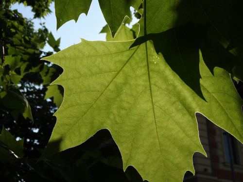 PICT 20240518 170655