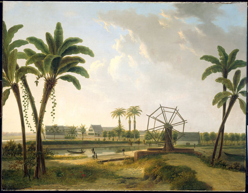 Klerk, Willem de Вид на кофейную плантацию 'Meerzorg' в Суринаме, 1876, 75 cm х 97,5 cm, Холст, масл