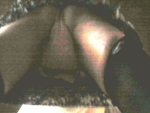 (m=e yaaGqaa)(mh=fl8nHJ72yQpAbrRL)original 752343402.jpg