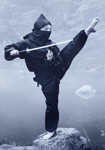 ninja kick.jpg