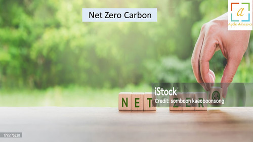17.5.24 nzcarbon.jpg