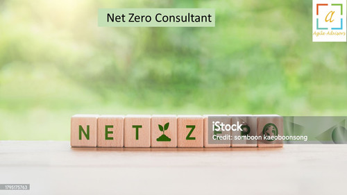 17.5.24 nzconsultant.jpg