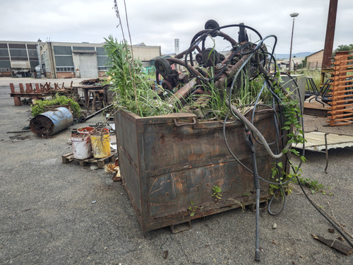 IMG 20240517 134656.jpg