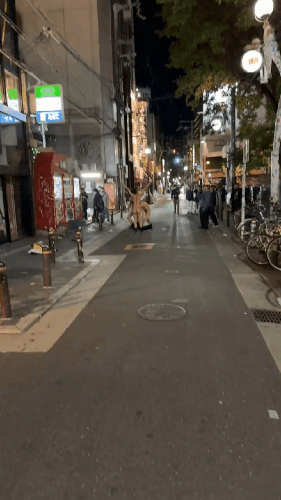 GIF 240517 193949.gif