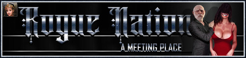 NinBIAD Banner.jpg