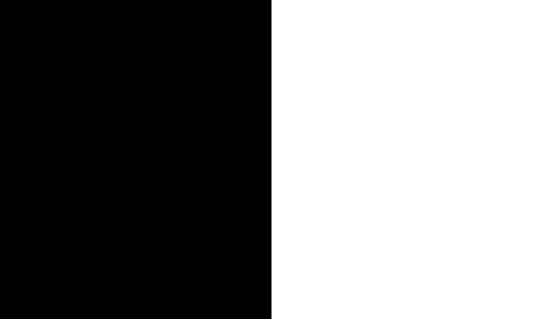 schwarz weiss.gif
